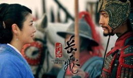 岳飞最新爆料视频,揭秘历史真相，还原民族英雄真实形象